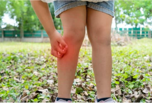 What is the best way to get rid of mosquitoes?