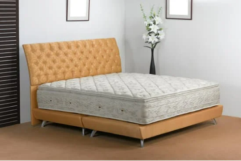 HOW TO CHECK FOR BED BUGS ON A MATTRESS