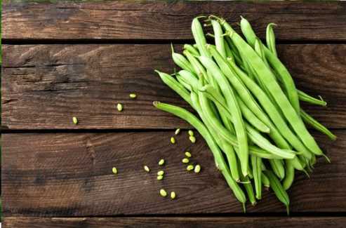 DO DEER EAT GREEN BEANS?