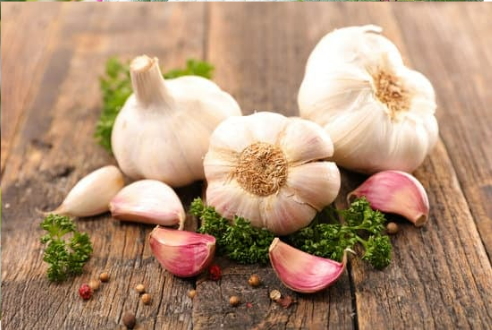 DO DEER EAT GARLIC?