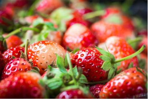 DO DEER EAT STRAWBERRIES?