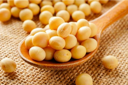 DO DEER EAT SOYBEANS
