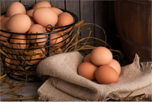 DO DEER EAT EGGS?