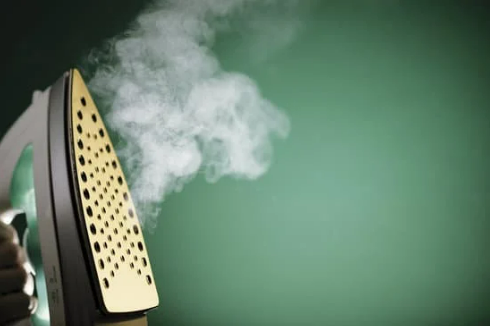 DOES STEAM KILL BED BUG EGGS?