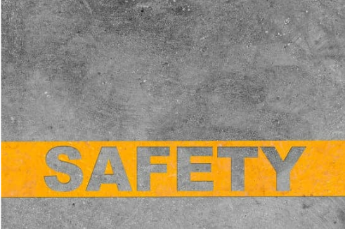 SAFETY ISSUES IN CONTROLLING BED BUGS