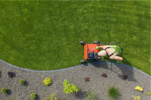 MOSQUITO REPELLENT FOR YARDS