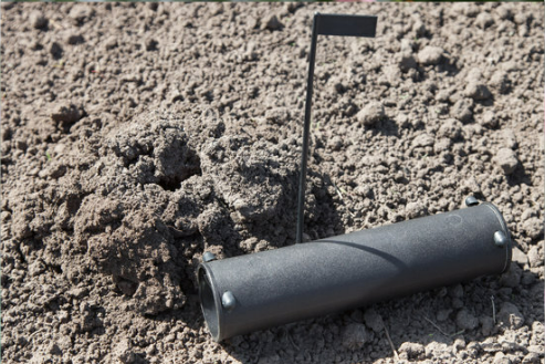 HOME REMEDY MOLE REPELLENT