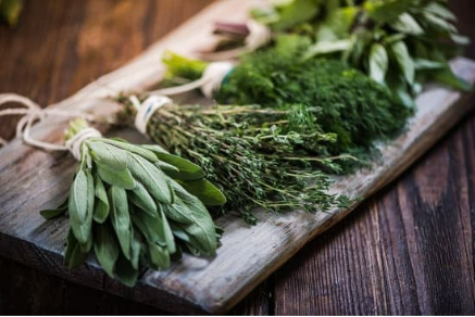 Are herbs great for mice control?