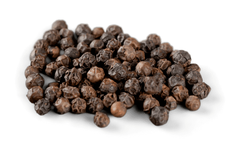 Is pepper the best squirrel repellent for plants?