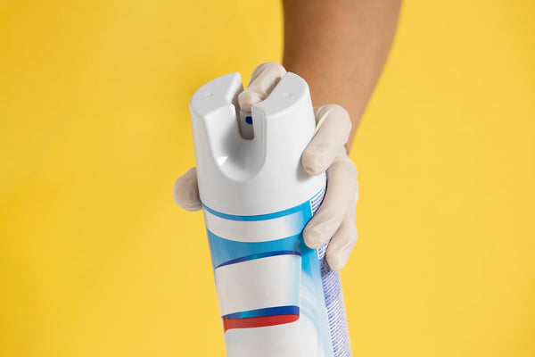 Does Lysol kill bed bug eggs?
