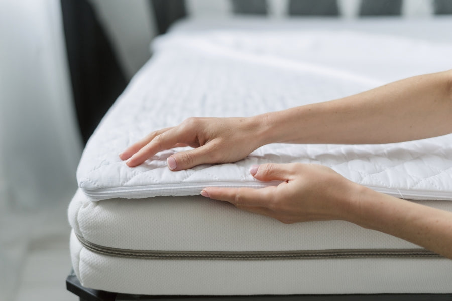 How Do You Check Your Bed For Bed Bugs?