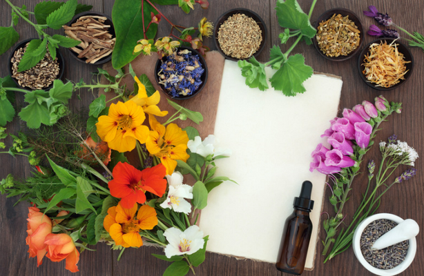 Mastering Deer Repellent Plants