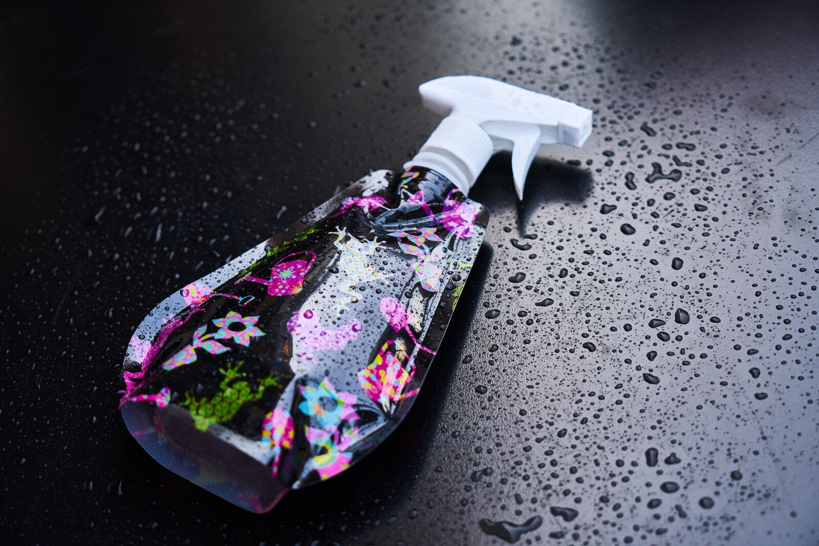 Can Lysol kill bed bugs?