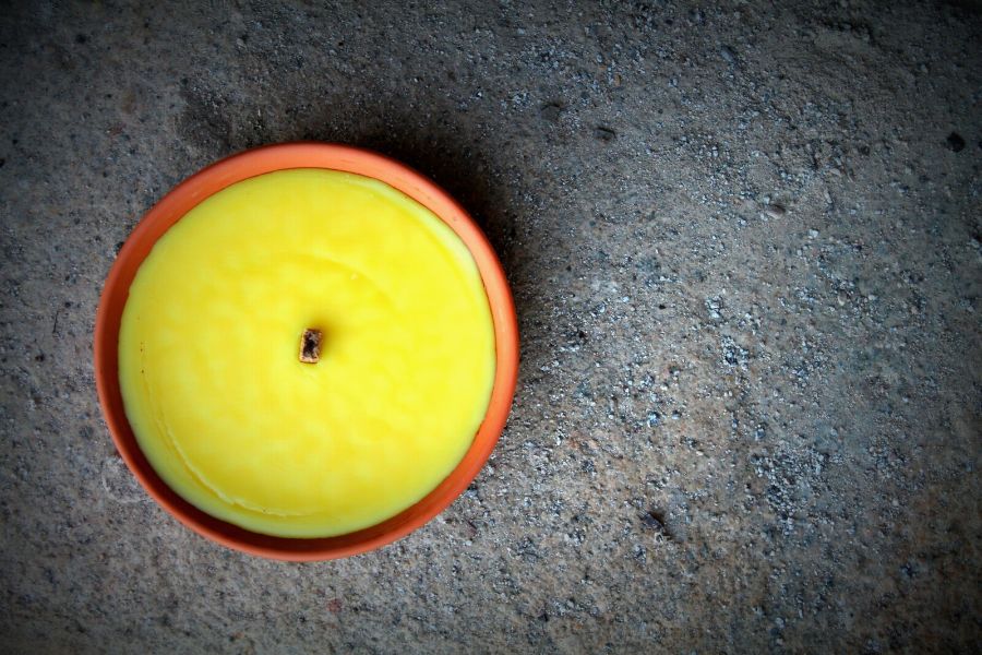 Should you use citronella as digging repellent for dogs?