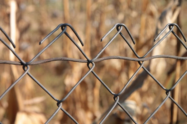 7 Cat Proof Fencing Ideas
