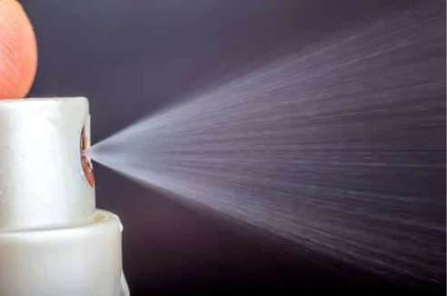FACTS ABOUT DIY BED BUG SPRAY