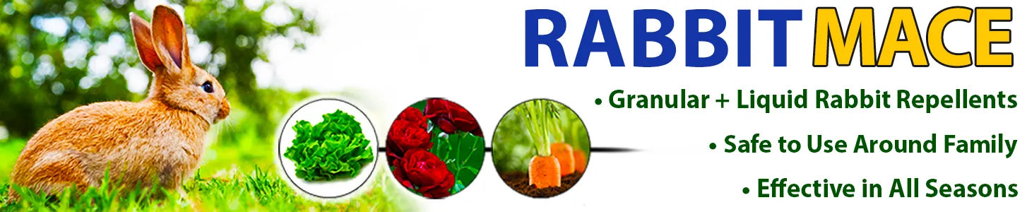Nature's MACE Rabbit MACE Rabbit Repellent