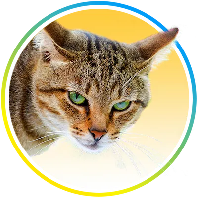 Nature's MACE Cat Repellent