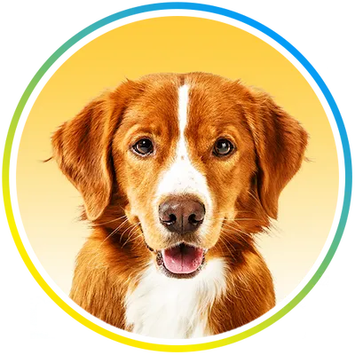 Nature's MACE Dog Repellent