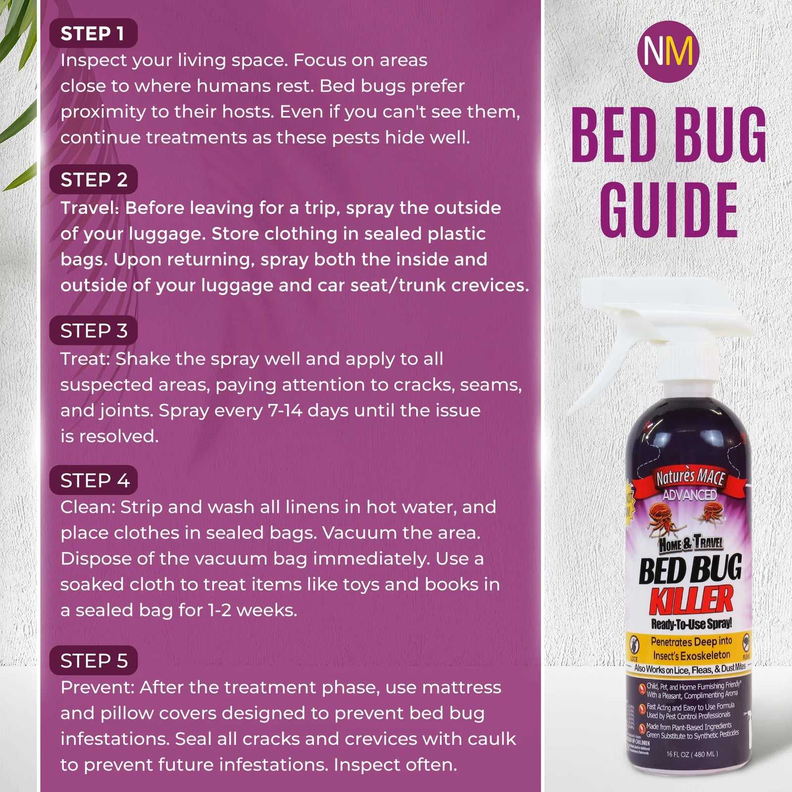 Nature's MACE Bed Bug Killer Bed Bug Guide | gallery:all