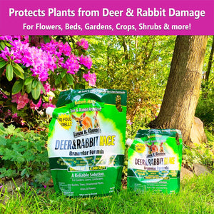 Deer and Rabbit MACE to protect plants