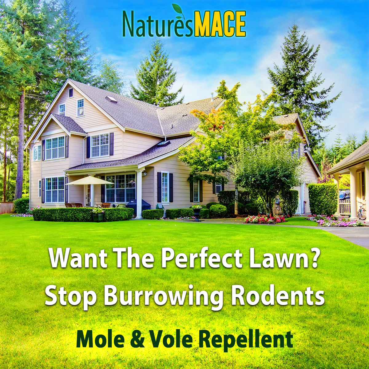 Want the perfect lawn? Use Nature's MACE Castor Oil