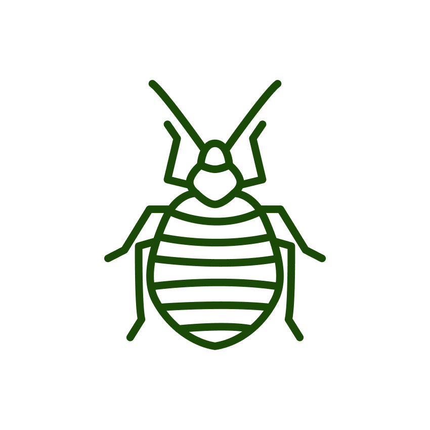 Nature's MACE Bed Bug Killer Bed Bug Facts