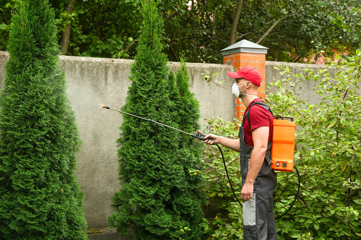 Nature's MACE Wholesale