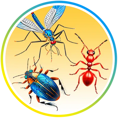 Nature's MACE Outdoor Insect Control Yard Spray