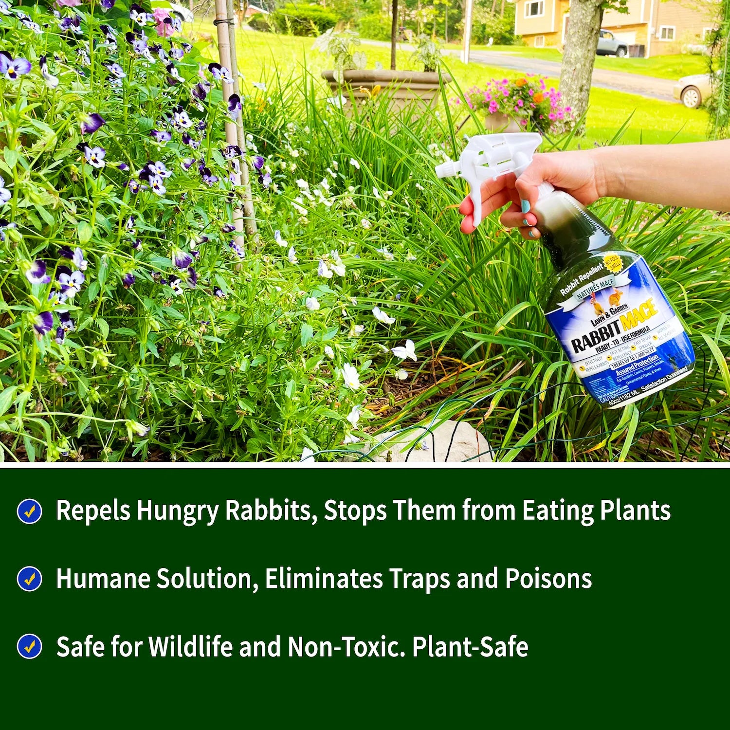 Rabbit MACE Rabbit Deterrent spray | gallery:all
