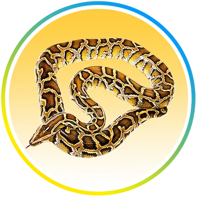 Nature's MACE Snake MACE Snake Repellent