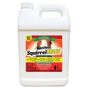 Squirrel MACE Squirrel Repellent 1 Gallon squirrel repellent spray
