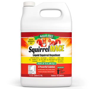 Squirrel MACE 1 Gallon Concentrate Squirrel Repellent
