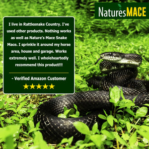 Snake MACE Review