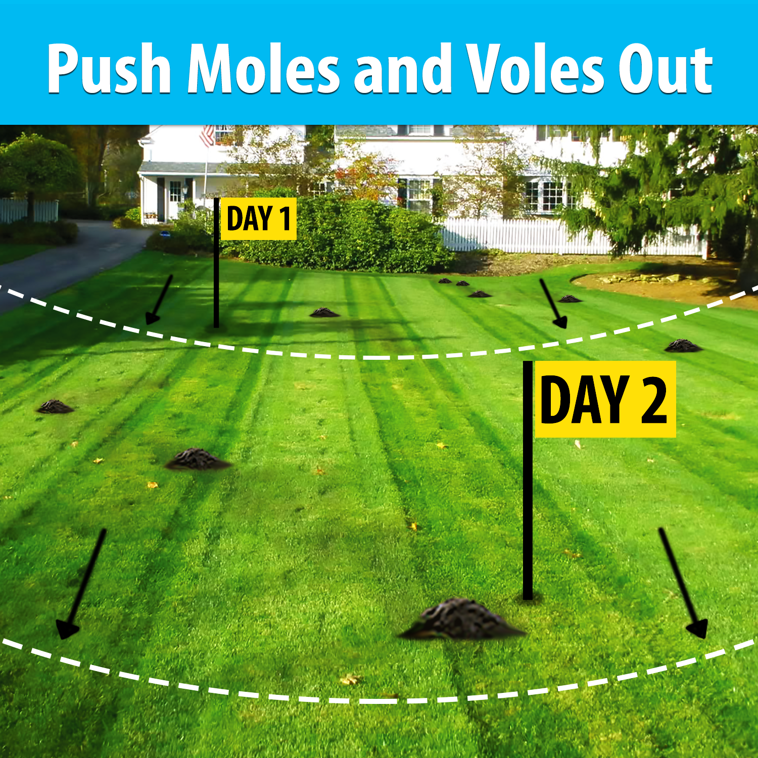 Mole and Vole Eviction Kit