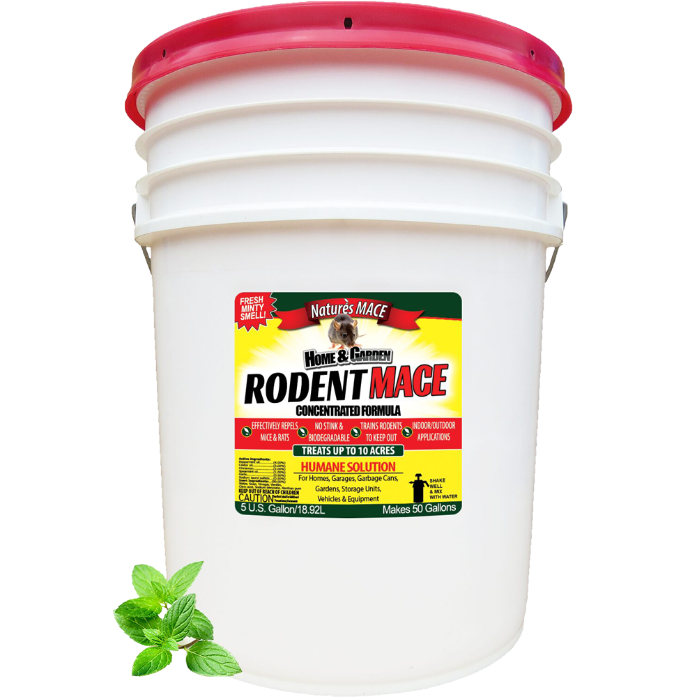 Rodent MACE Peppermint Rodent Repellent 5 Gallon repel rodents | gallery:5-gal-conc