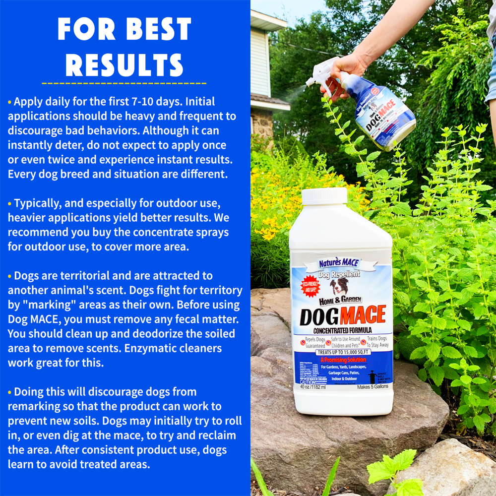 Nature's MACE Dog MACE Liquid For Best Results | gallery:all