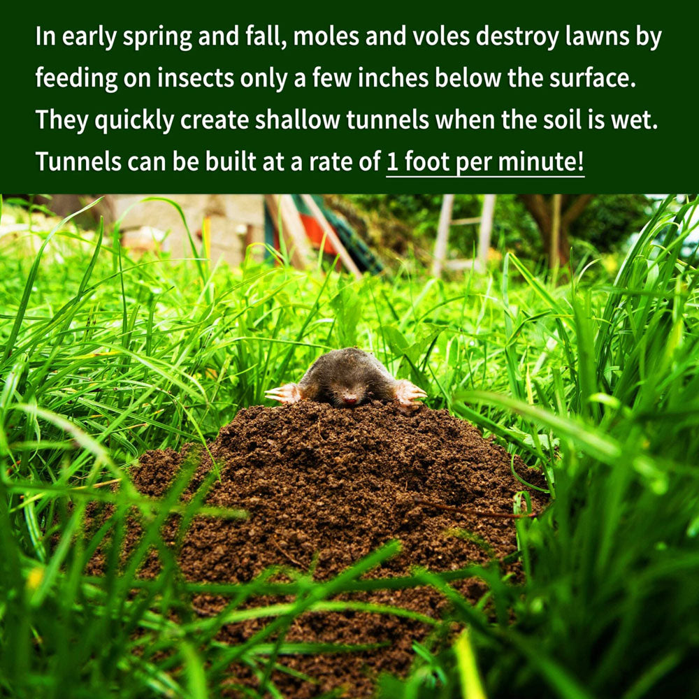 Natures MACE Mole and Vole MACE Granular Repellent informational