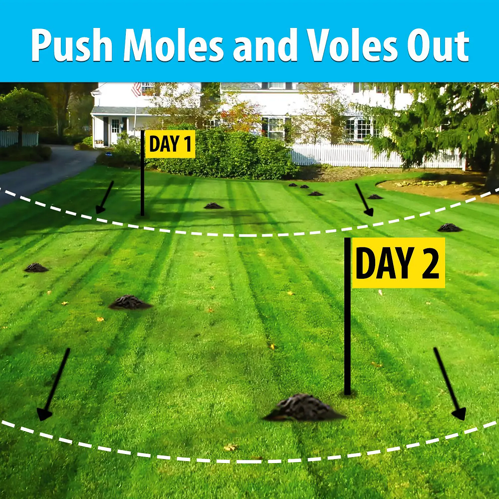 Push Moles and Voles Out