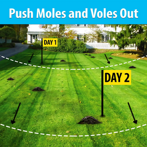 Push Moles and Voles Out