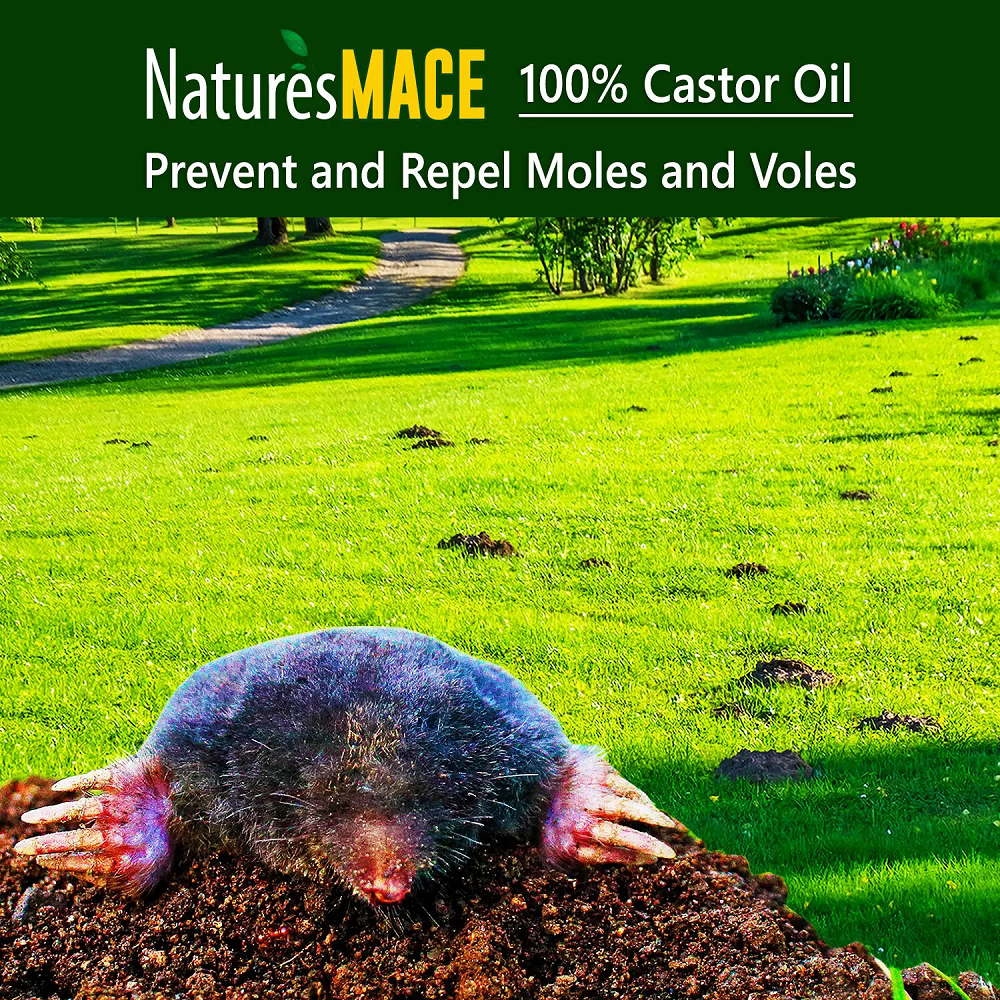 Natures MACE Pure Castor Oil Repel Moles and Voles | gallery:all