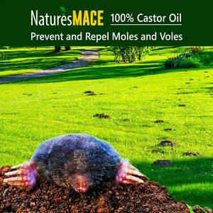 Natures MACE Pure Castor Oil Repel Moles and Voles