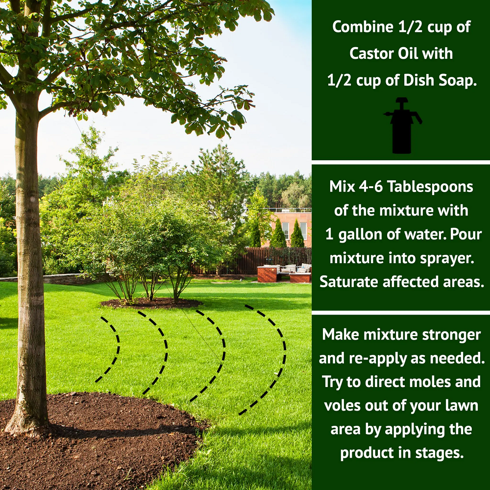 Application instructions for Castor Oil Mole Repellent