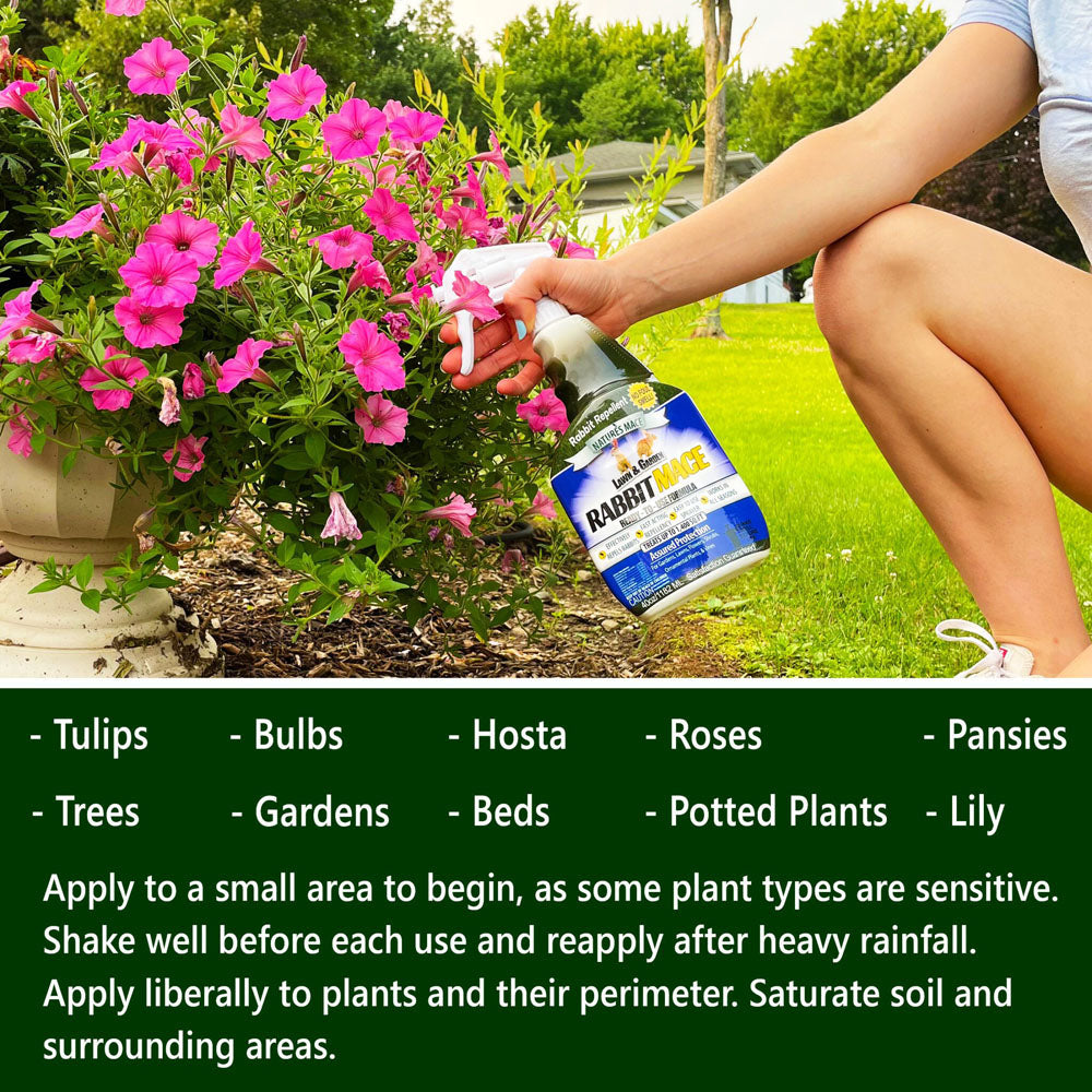 Rabbit Repellent Uses