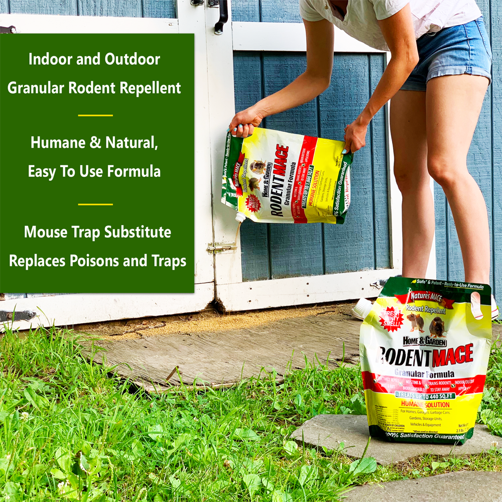 Rodent MACE Can be used indoors and outdoors | gallery:all