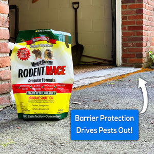 Rodent MACE Granular