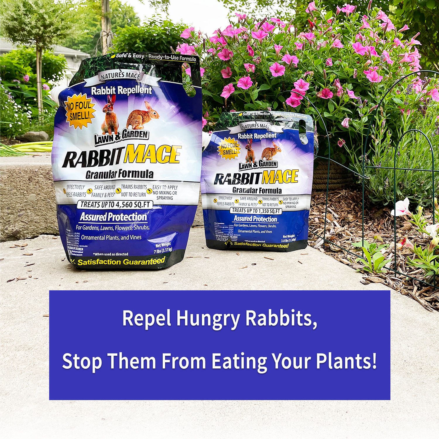 Repel Hungry Rabbits With Rabbit MACE Granular | gallery:all