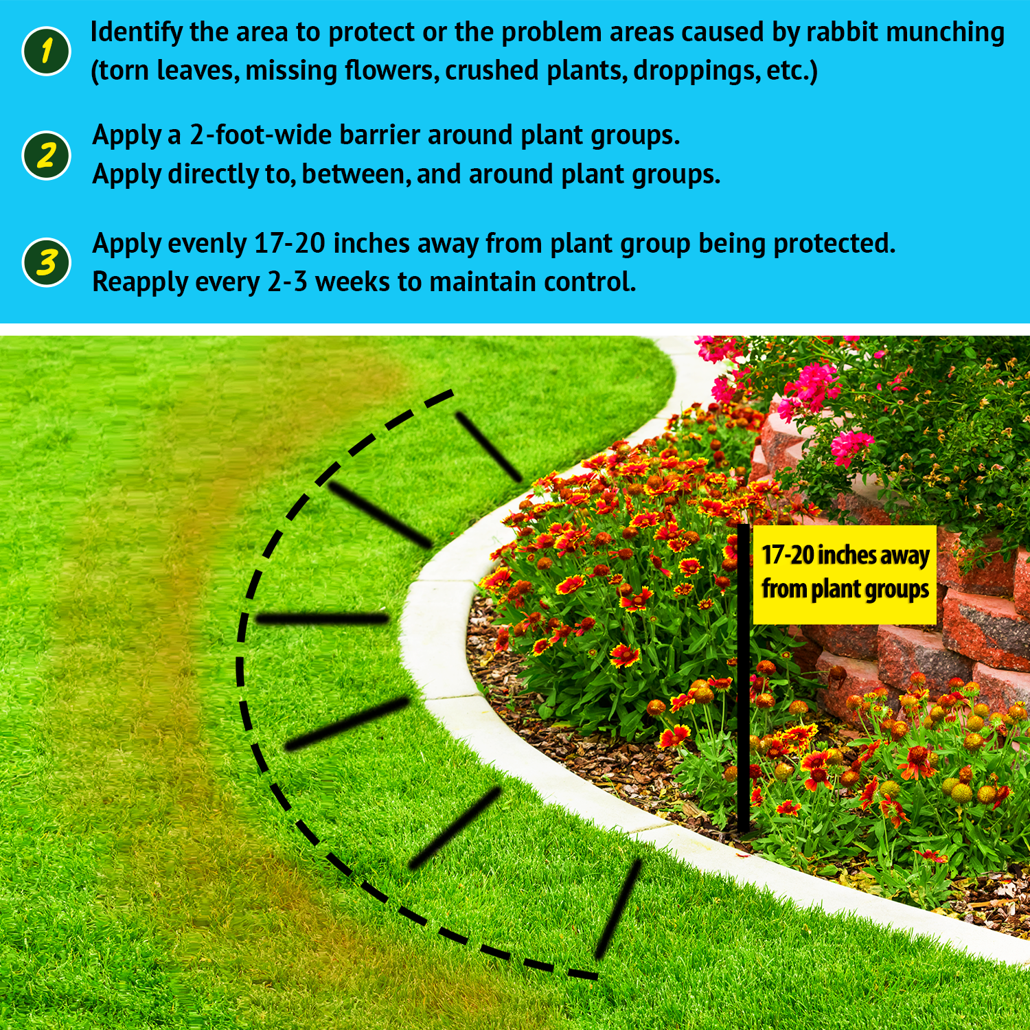 Rabbit MACE Granular Application instructions | gallery:all