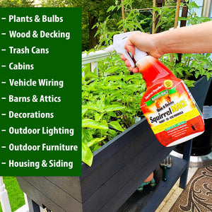 Squirrel MACE Squirrel Repellent