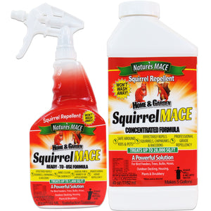 Squirrel MACE Squirrel Repellent Combo Kit squirrel repellent spray